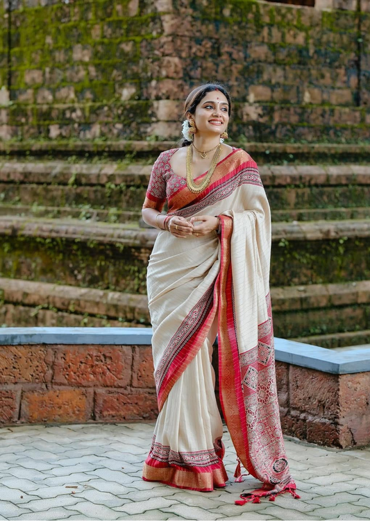 Arya Heritage Dola Silk Saree